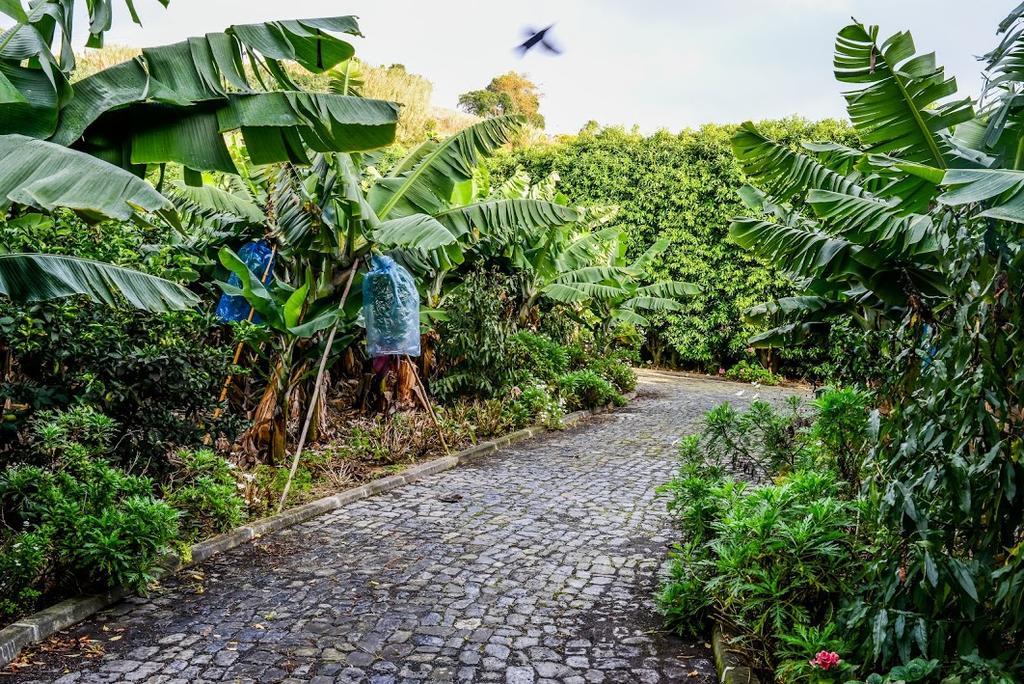 Quinta Amaro Al Otel Angra do Heroísmo Dış mekan fotoğraf